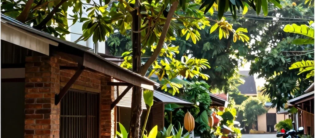 Beyond the Main Drag of Chiang Mai’s Nimman Neighborhood