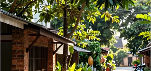 Beyond the Main Drag of Chiang Mai’s Nimman Neighborhood